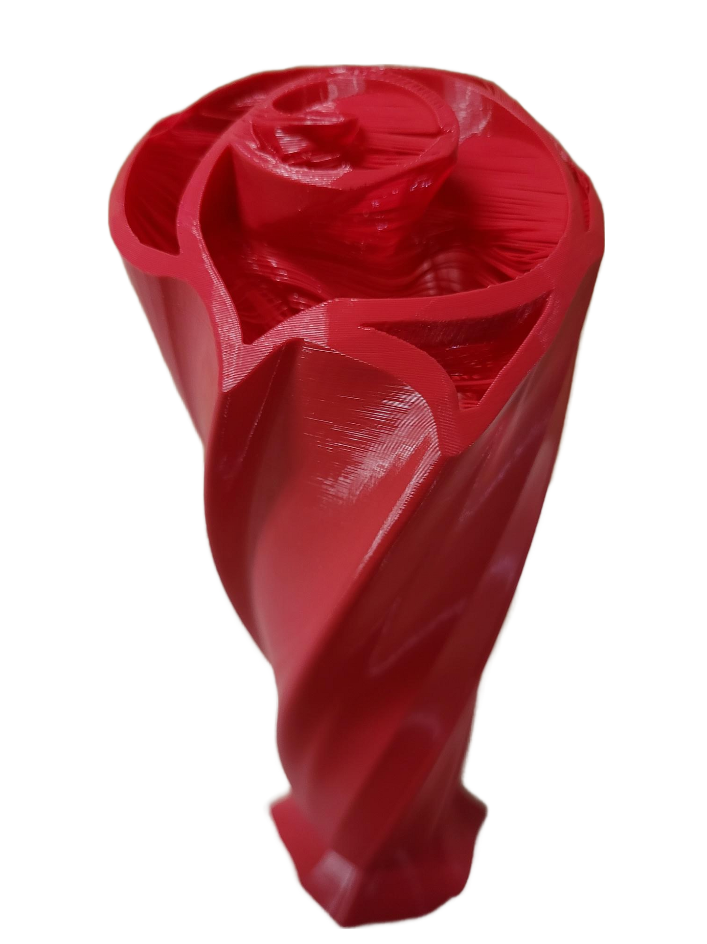 Vase three roses multicolors