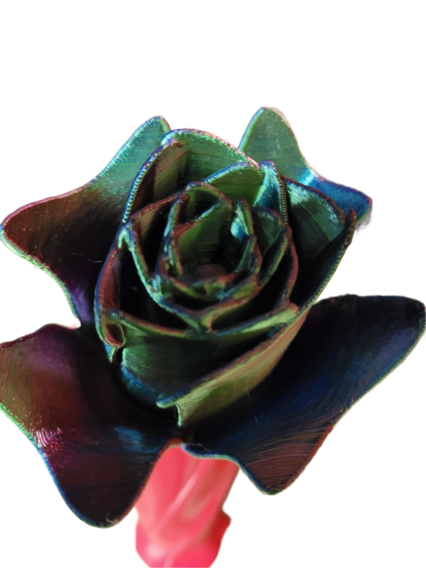 Vase à trois roses multicolores